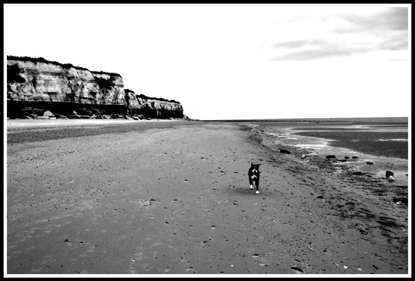 Bruce running alone on the beach