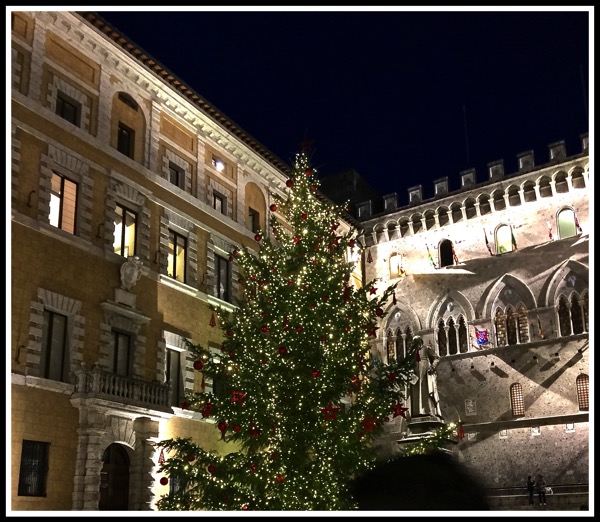 Siena Christmas Tree at night