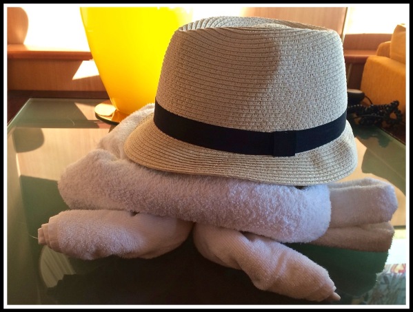 Folded turtle from towels with my hat as the shell
