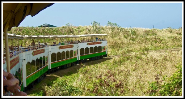 St Kitts Train
