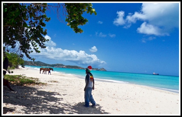 Photo of the horse instructor walking across the beautiful beach