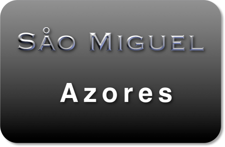 Såo Miguel logo