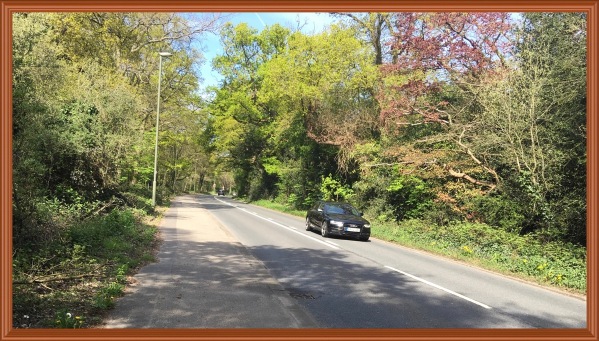 A photo taken from the pavement of the road lined with green trees and a black Audi on the road
